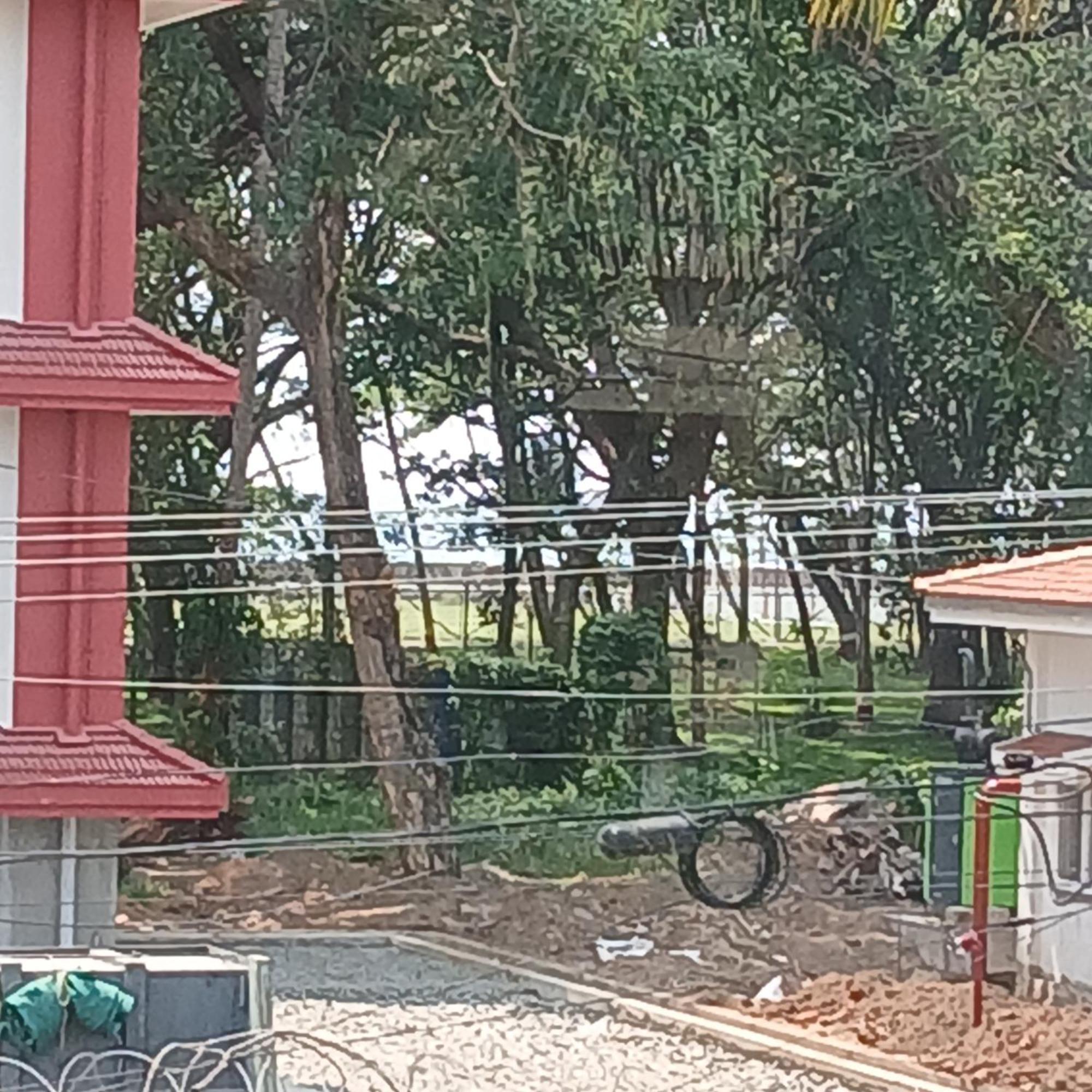 Annies Inn Homestay Kochi Exterior photo
